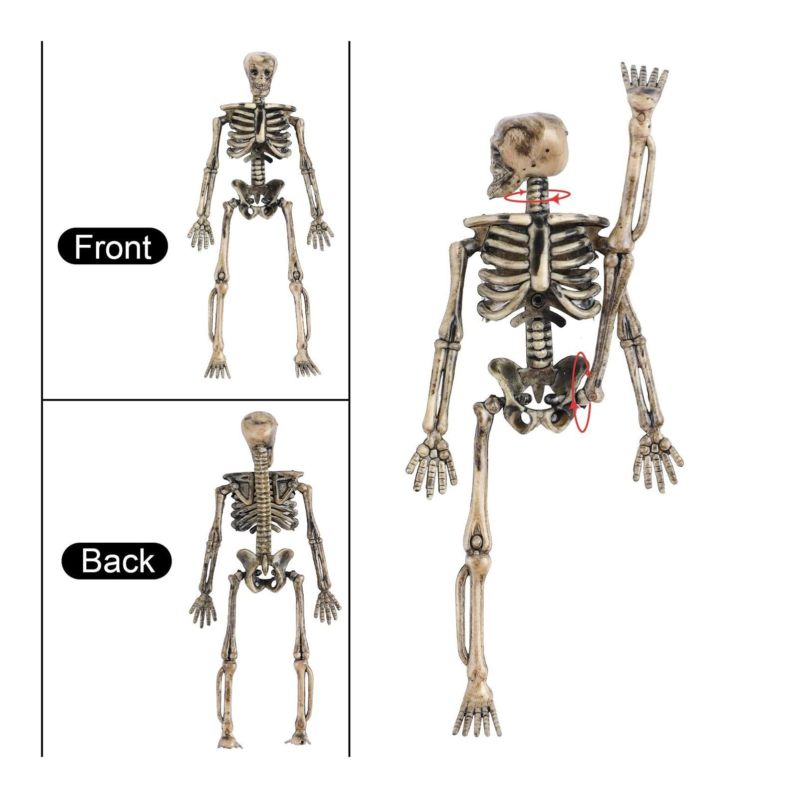 8x Halloween Skeletons Lawn Hanging Scary Full Body Posable Joints Skeletons