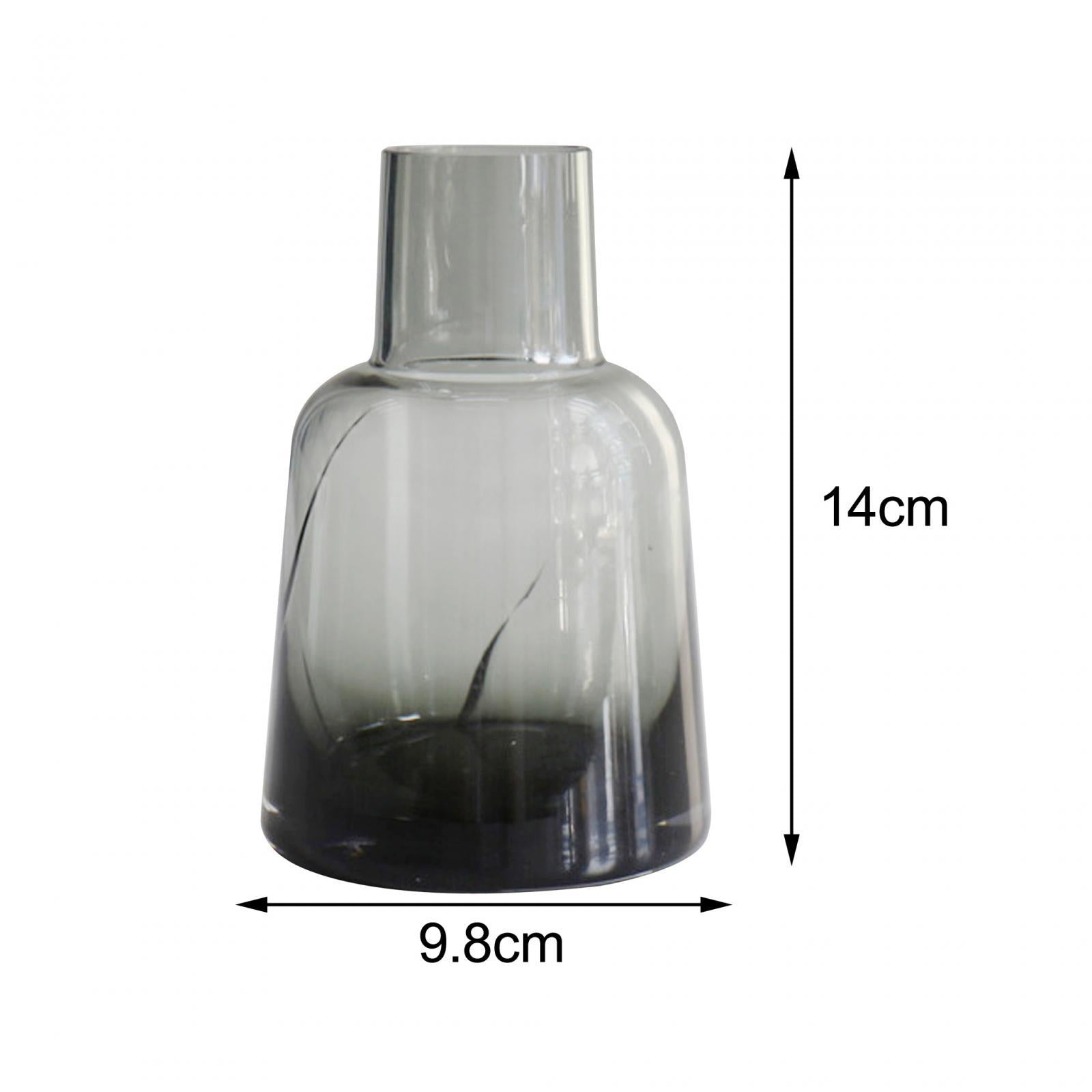Hydroponic Plants Pot Glass Flower Vase for Indoor Plants Living Room Office style C