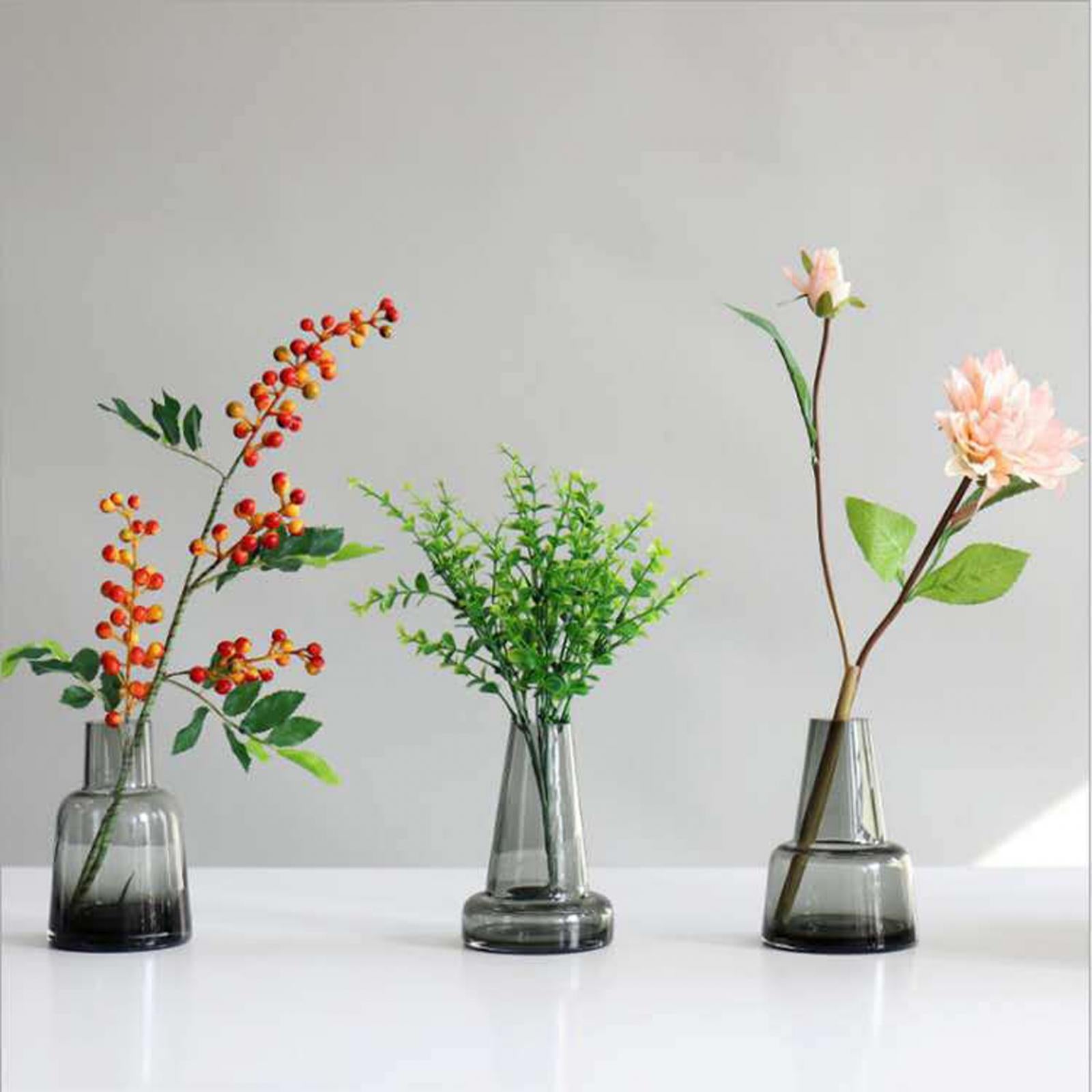 Hydroponic Plants Pot Glass Flower Vase for Indoor Plants Living Room Office style C