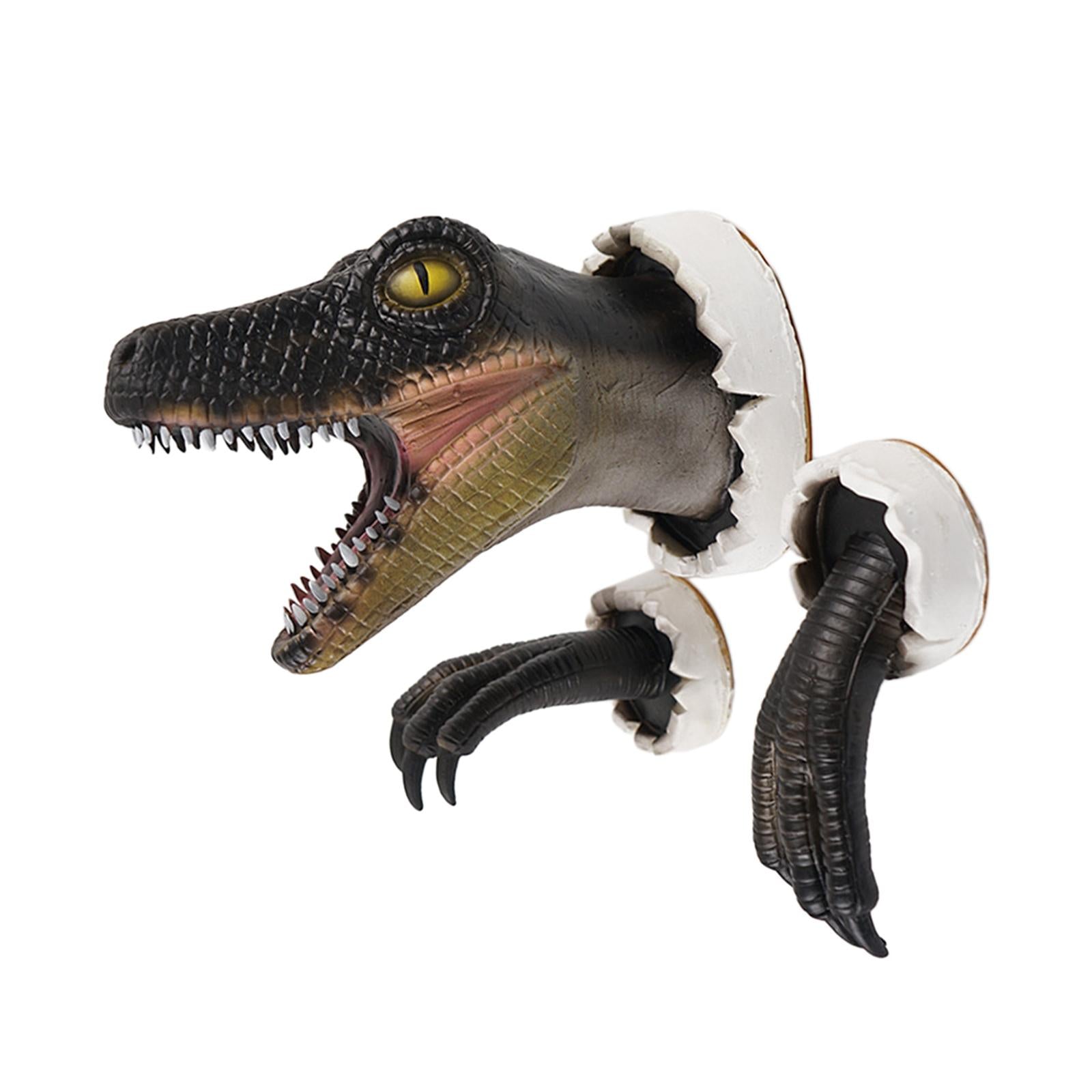 Dinosaur Wall Sculpture with Claws Animals Head Wall Decor Dinosaur Ornament