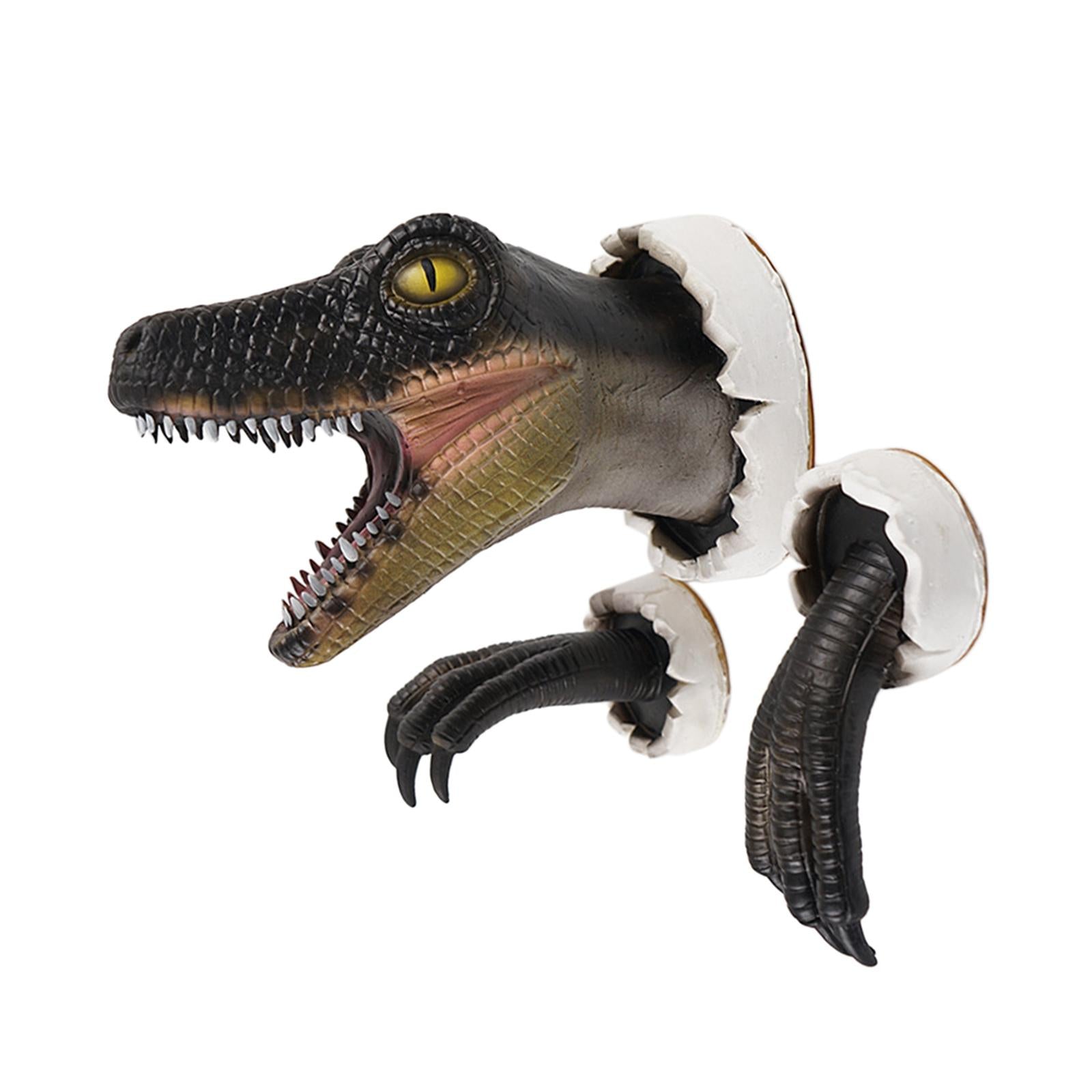 Dinosaur Wall Sculpture with Claws Animals Head Wall Decor Dinosaur Ornament