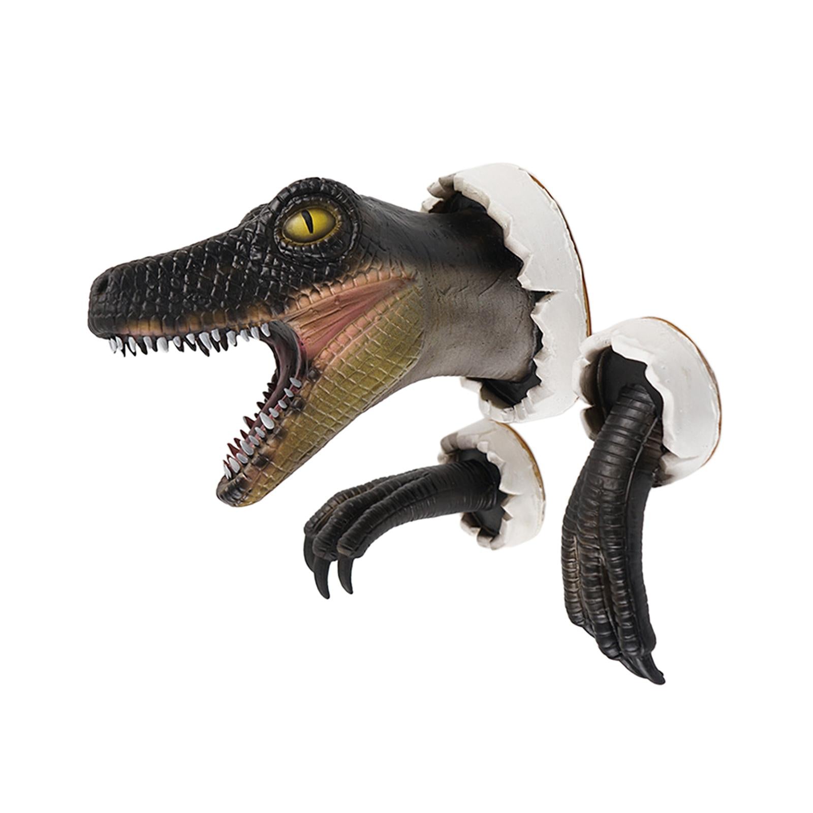 Dinosaur Wall Sculpture with Claws Animals Head Wall Decor Dinosaur Ornament