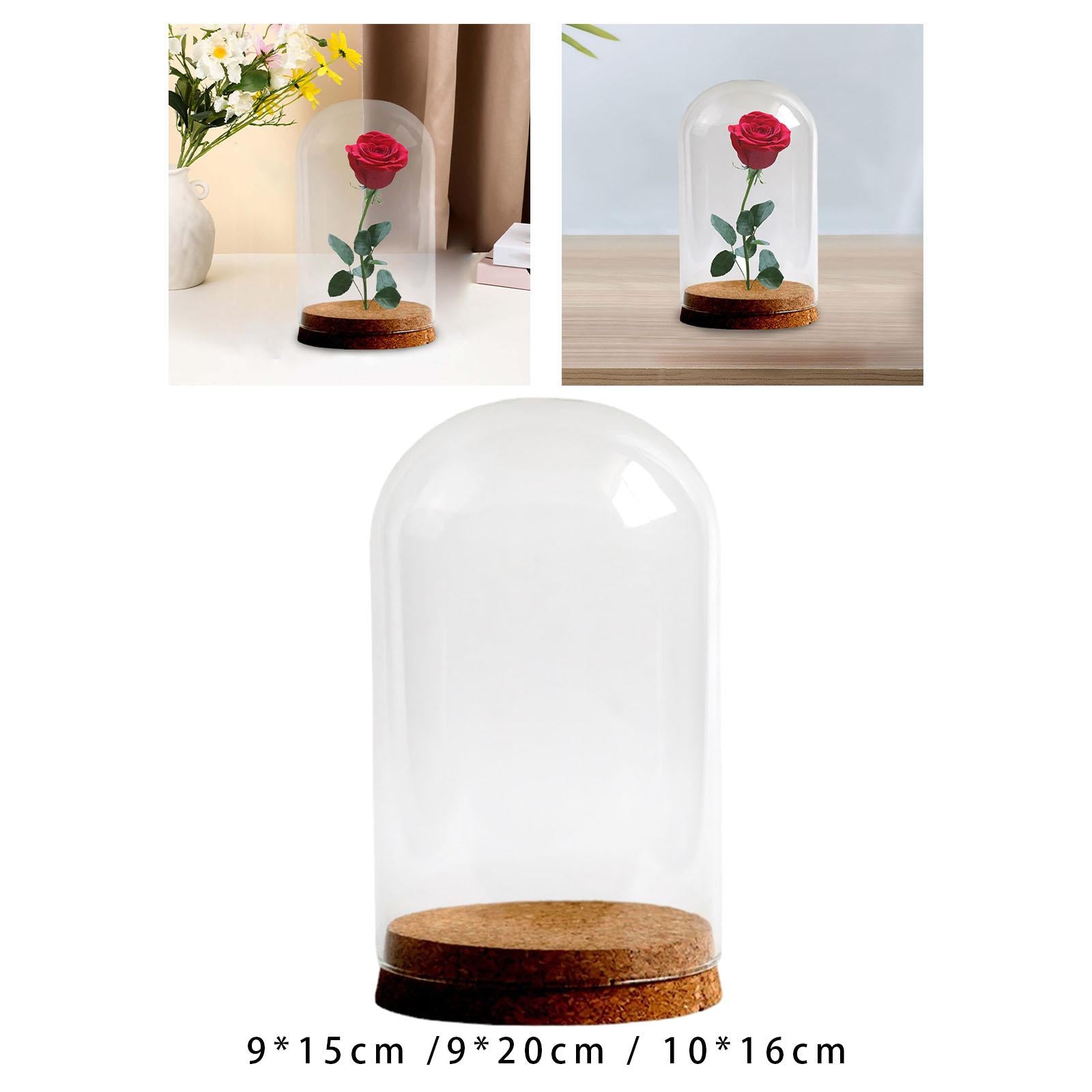 Preserved Flower Glass Cover Glass Dome Cover for Weddings Study Room Office 9cmx15cm