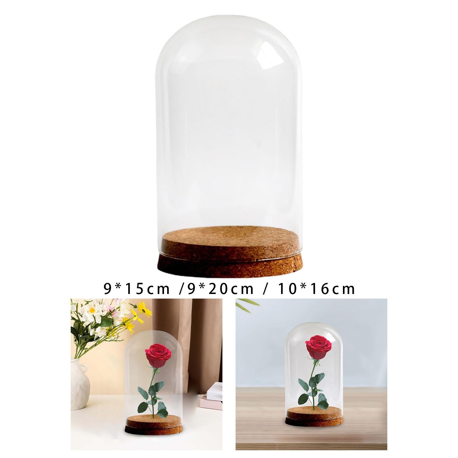 Preserved Flower Glass Cover Glass Dome Cover for Weddings Study Room Office 9cmx15cm