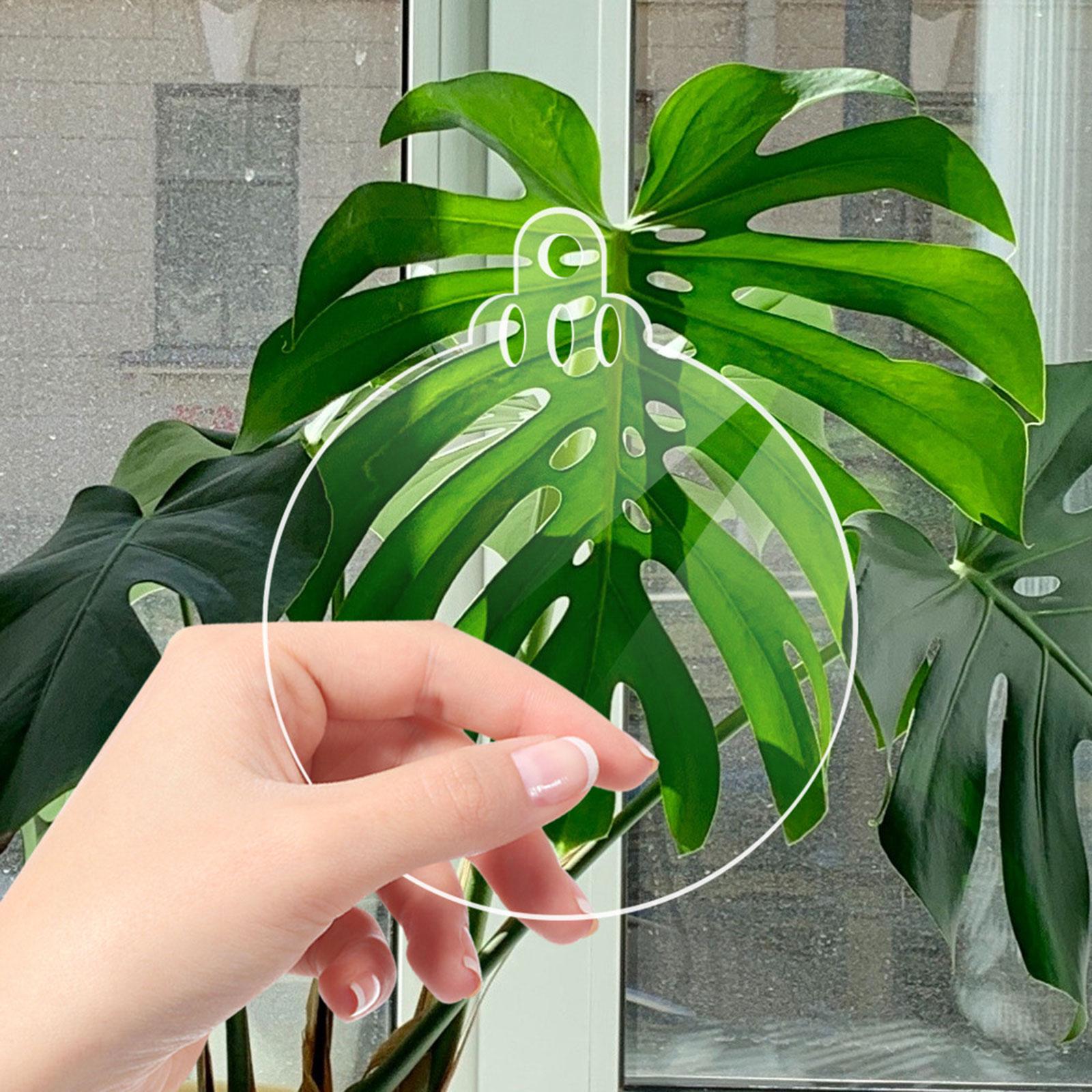 10x Acrylic Ornaments Circles Acrylic Circles with Holes for Crafts Gift Tag