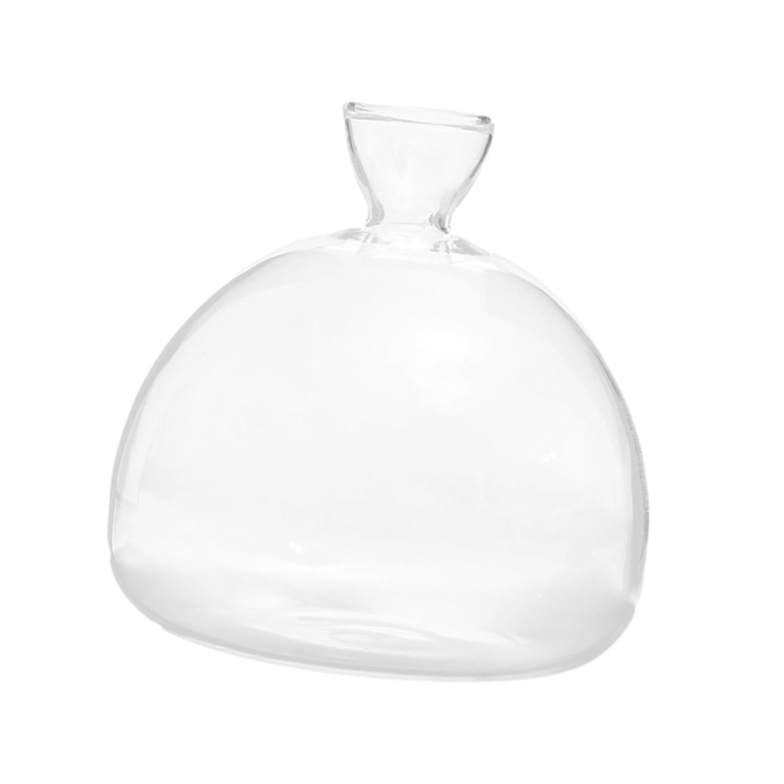 Avocado Seed Starter Vase Avocado Bottle for Growing Kit for Birthday Families