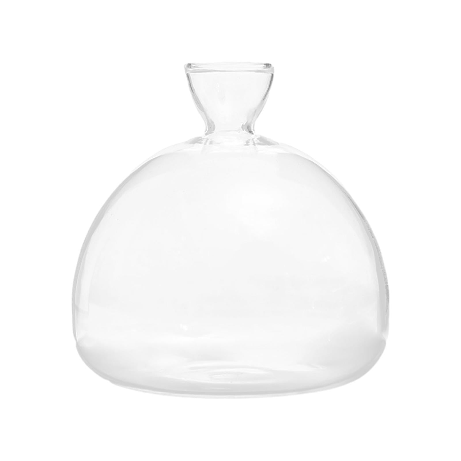Avocado Seed Starter Vase Avocado Bottle for Growing Kit for Birthday Families