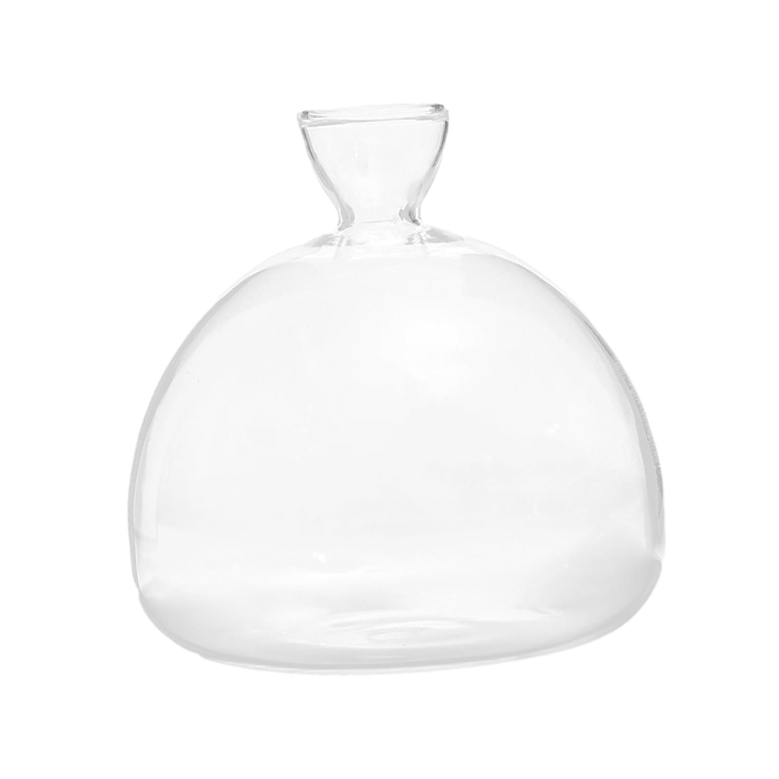 Avocado Seed Starter Vase Avocado Bottle for Growing Kit for Birthday Families