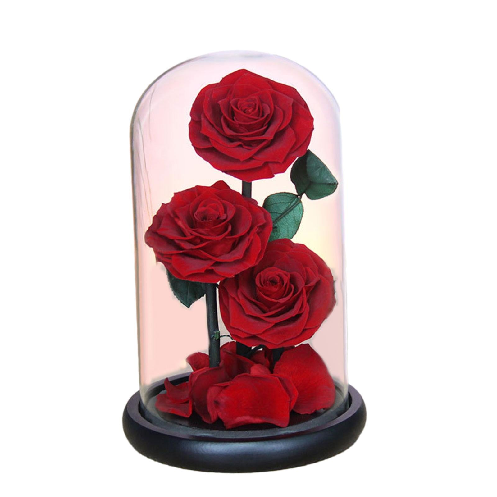 Rose Eternal in Glass Dome Valentines Day Decor Valentines Day Gifts for Men Style D