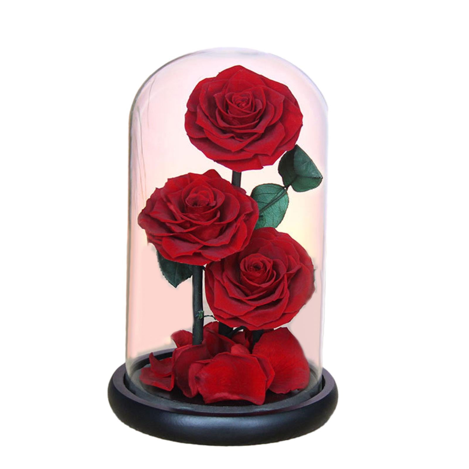 Rose Eternal in Glass Dome Valentines Day Decor Valentines Day Gifts for Men Style D