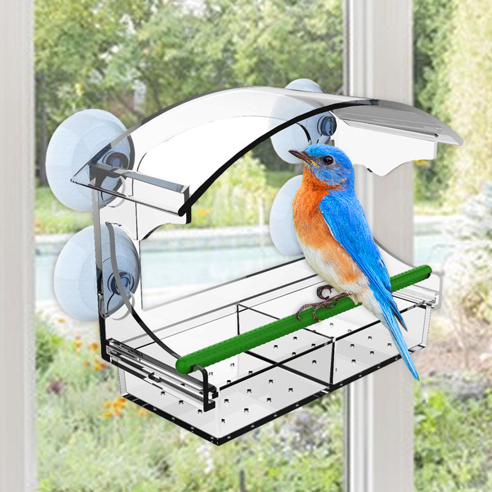 Clear Bird Feeder for Window Durable Drainage Holes with Strong Suction Cups