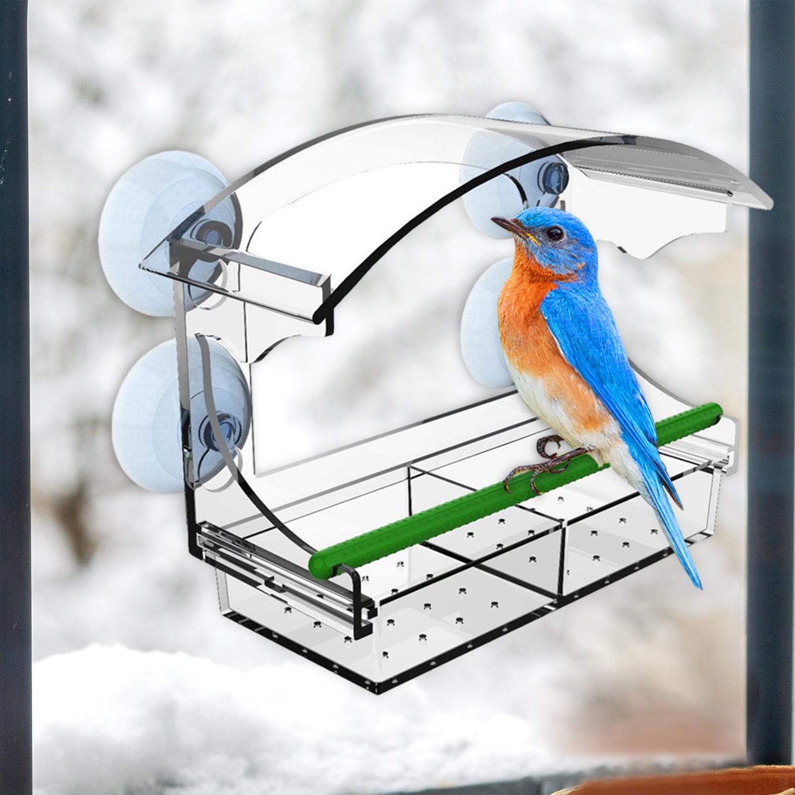 Clear Bird Feeder for Window Durable Drainage Holes with Strong Suction Cups