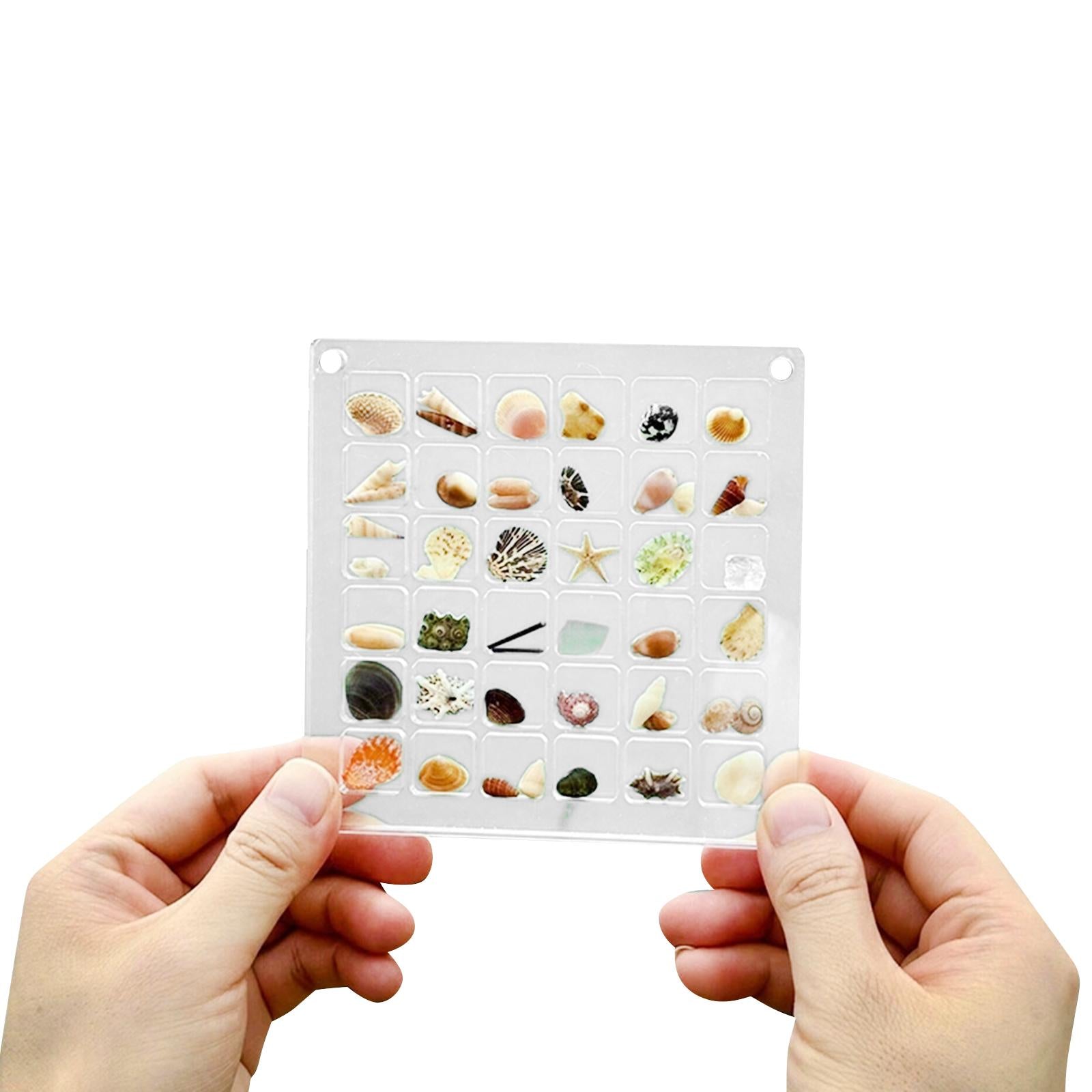 Acrylic Seashell Display Box Clear Small Craft Organizers Container for Nail