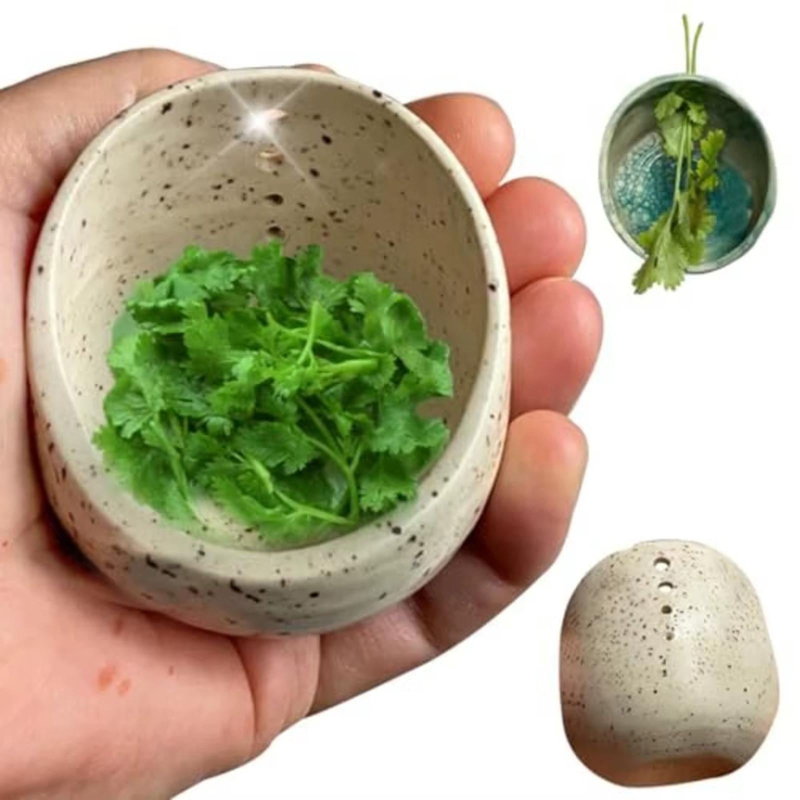 Pottery Stripper Bowl Different Round Hole Sizes Vegetable Leaf Remover Beige