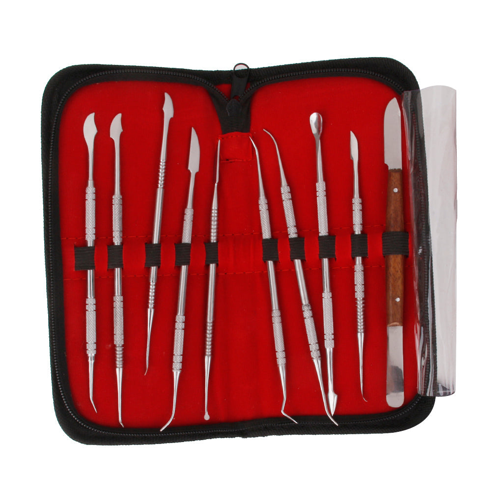 10pcs Stainless Steel Wax Carving Teeth Tool Set Dentist Dental Lab Kit