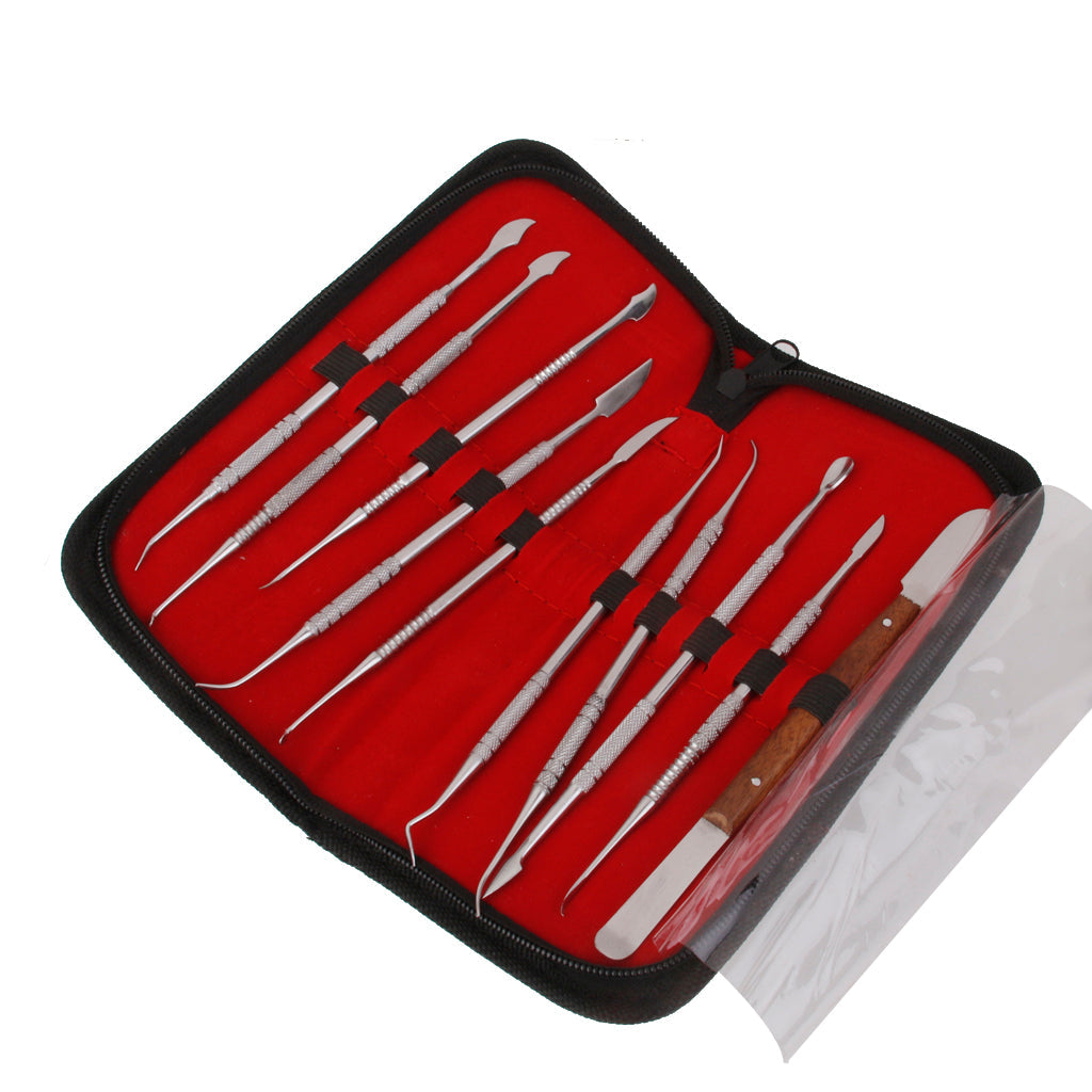 10pcs Stainless Steel Wax Carving Teeth Tool Set Dentist Dental Lab Kit