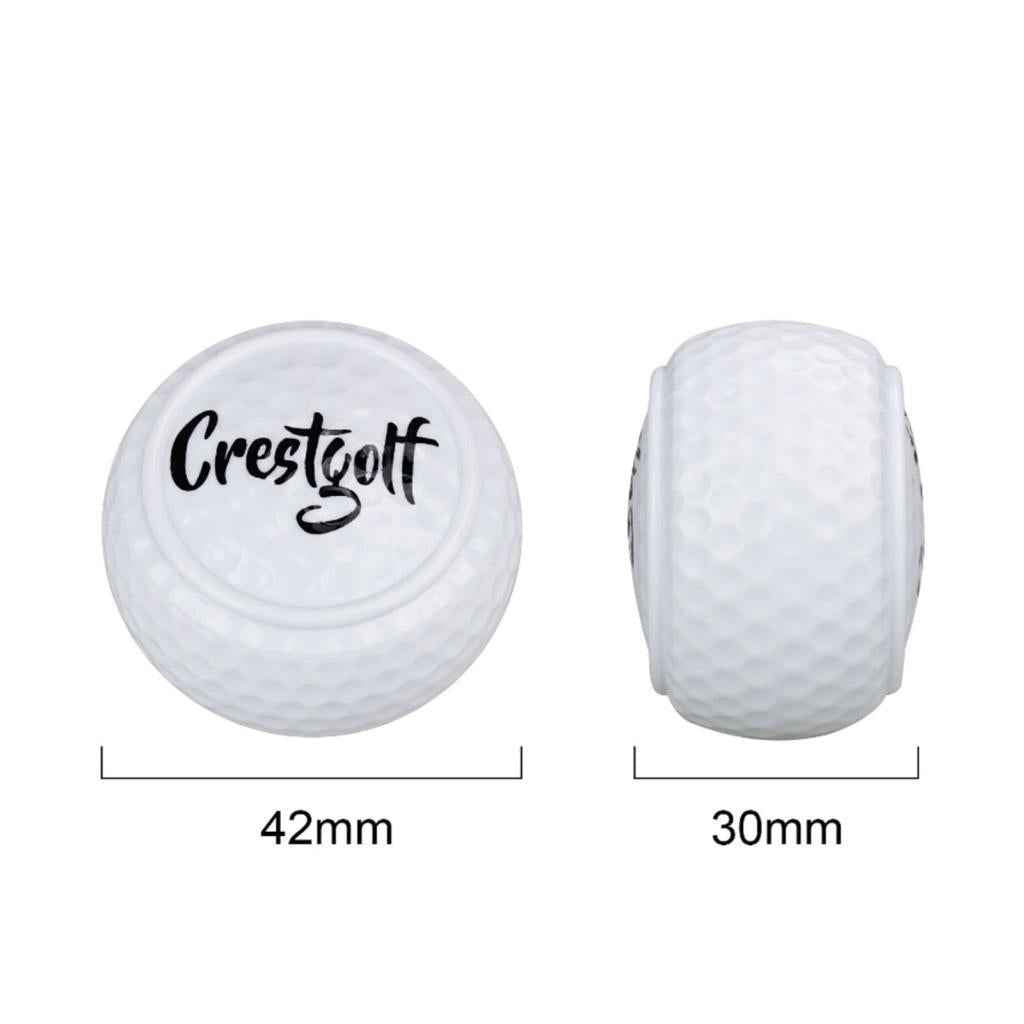 Flat Golf Ball Training Aid Alignment Improvement for Practice Green Yard