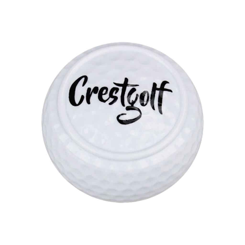 Flat Golf Ball Training Aid Alignment Improvement for Practice Green Yard