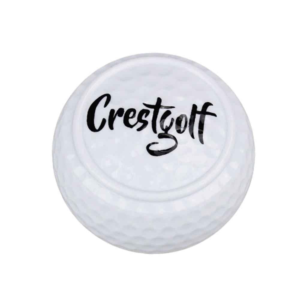 Flat Golf Ball Training Aid Alignment Improvement for Practice Green Yard