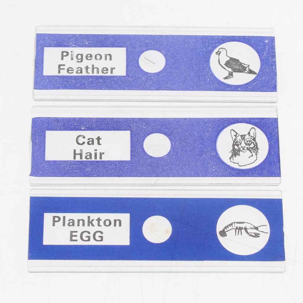 12Pcs Prepared Plastic Microscope Slides Biological Specimen with 1 Box for Children Kids School Students Enlighten Education