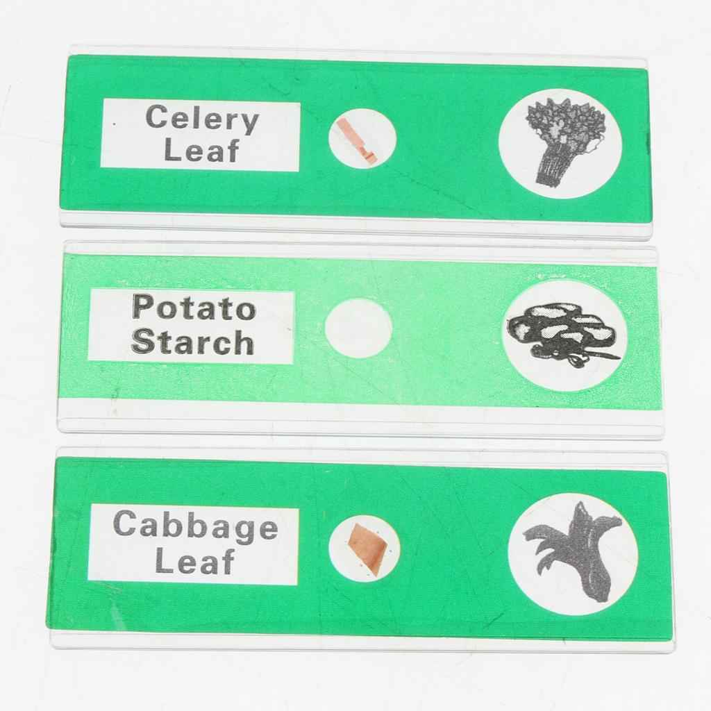 12Pcs Prepared Plastic Microscope Slides Biological Specimen with 1 Box for Children Kids School Students Enlighten Education