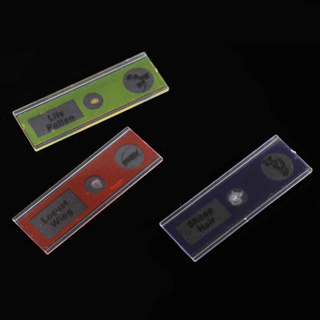 12Pcs Prepared Plastic Microscope Slides Biological Specimen with 1 Box for Children Kids School Students Enlighten Education
