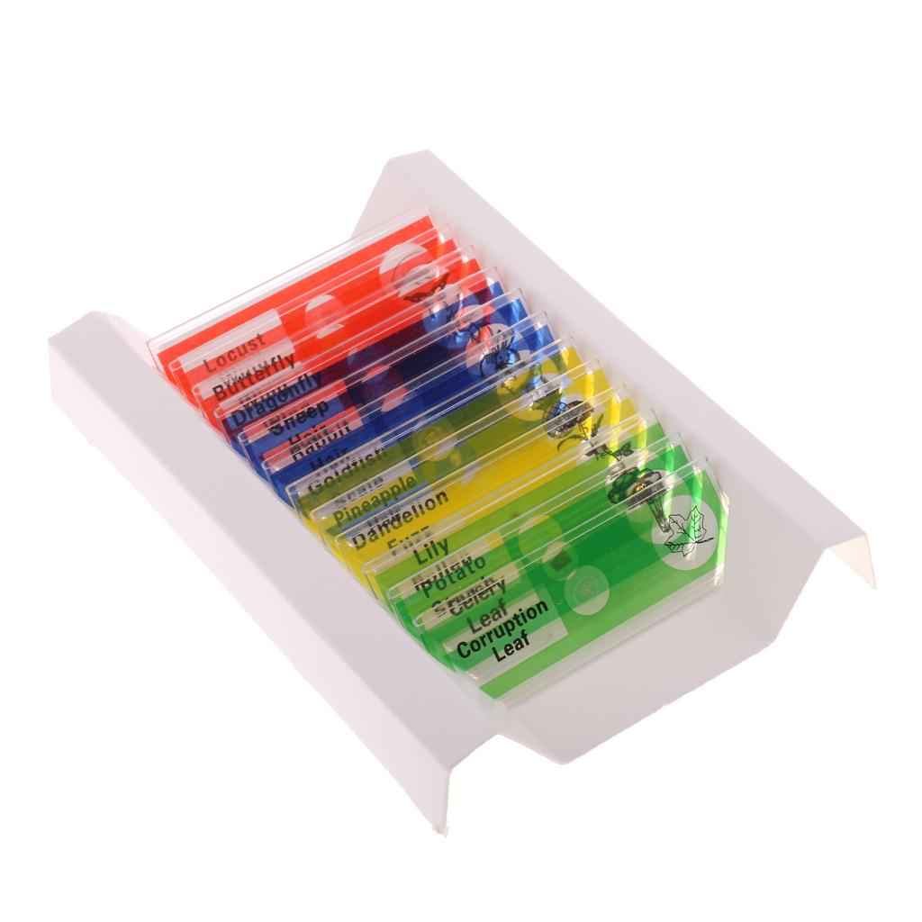 12Pcs Prepared Plastic Microscope Slides Biological Specimen with 1 Box for Children Kids School Students Enlighten Education