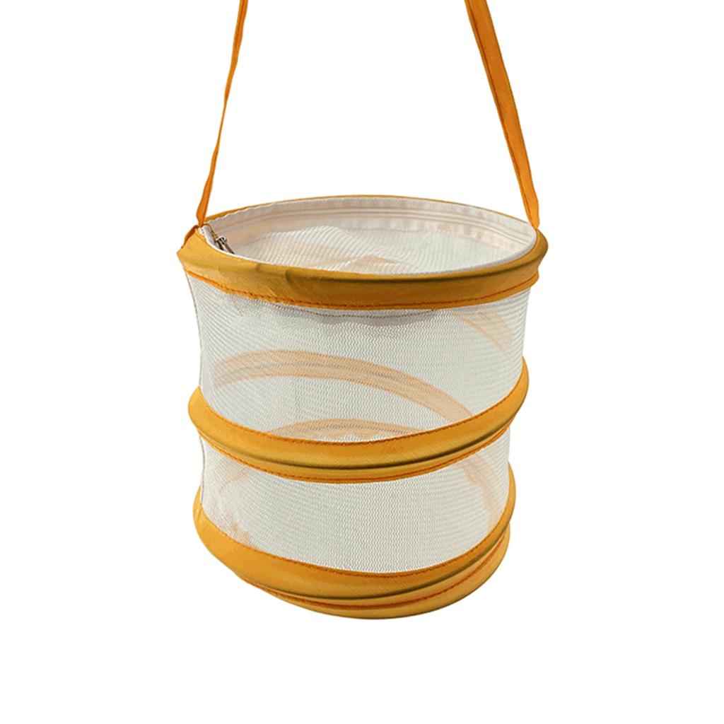 Insect and Butterfly Habitat Cage Round -up Science for Outdoor Ages 3+
