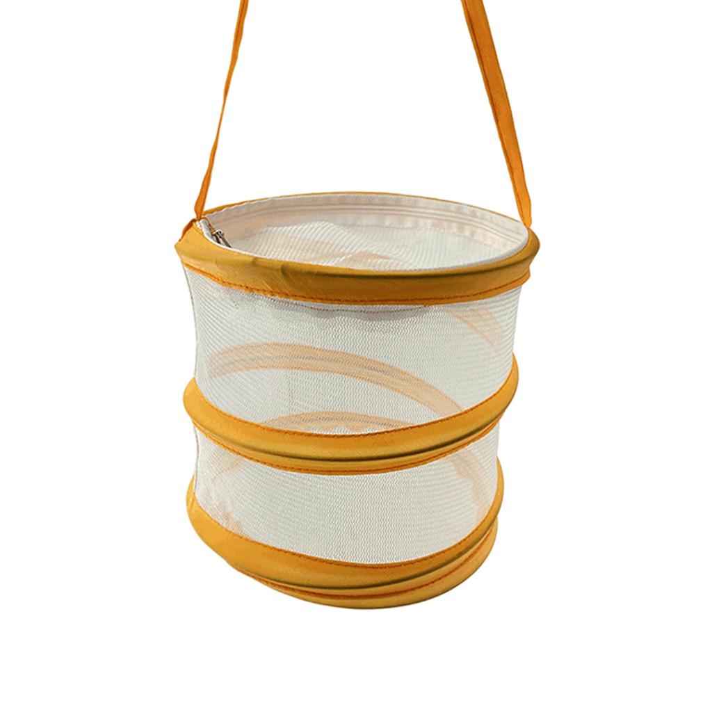 Insect and Butterfly Habitat Cage Round -up Science for Outdoor Ages 3+