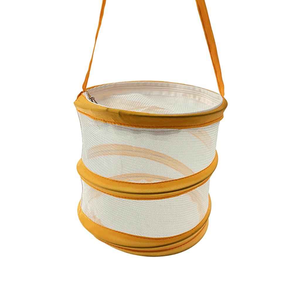 Insect and Butterfly Habitat Cage Round -up Science for Outdoor Ages 3+