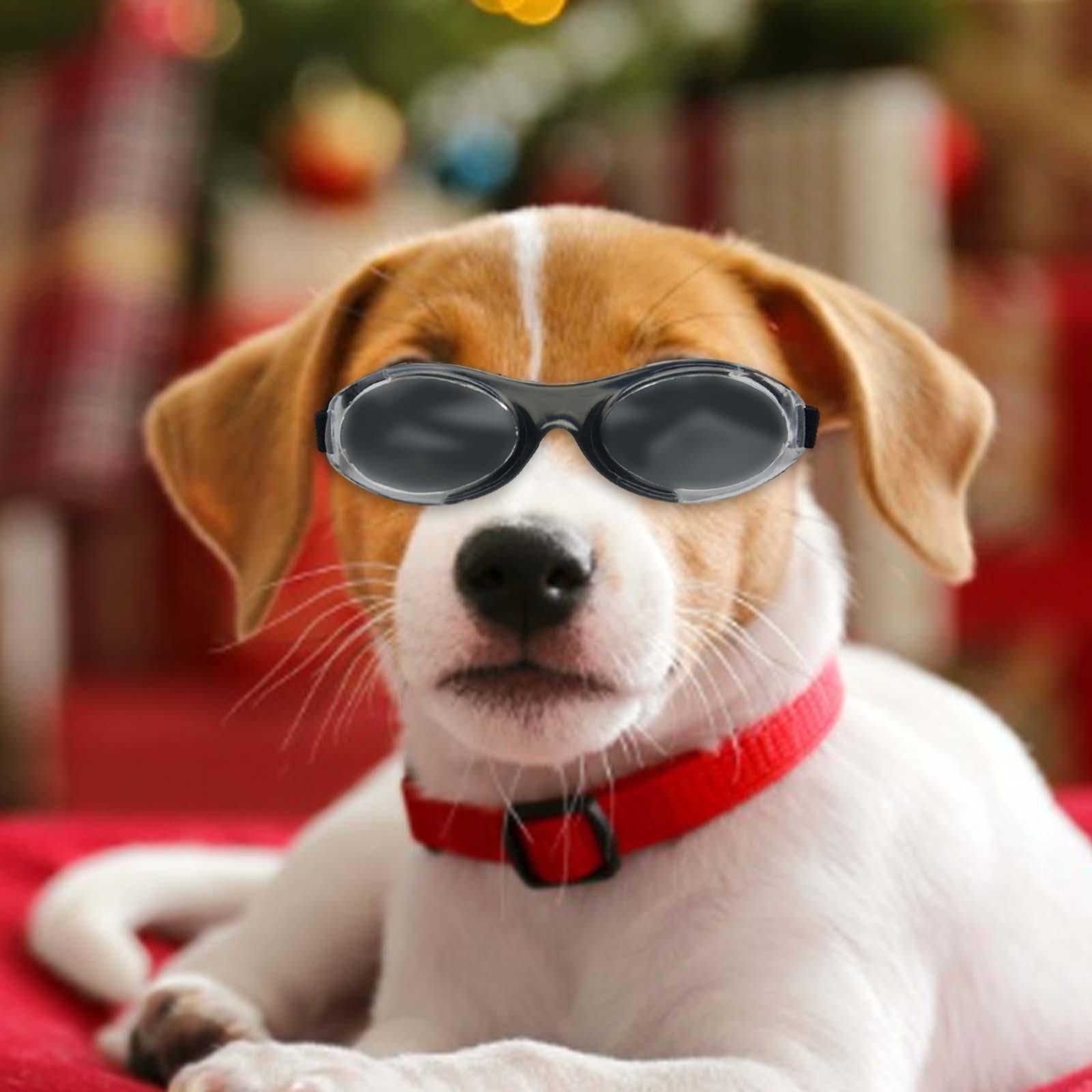 Dog Sunglasses Pet Eyewear for Sun Protection Dust Protection Eye Protection E