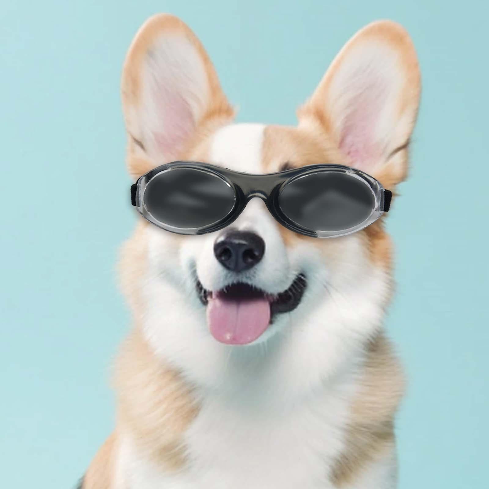 Dog Sunglasses Pet Eyewear for Sun Protection Dust Protection Eye Protection E