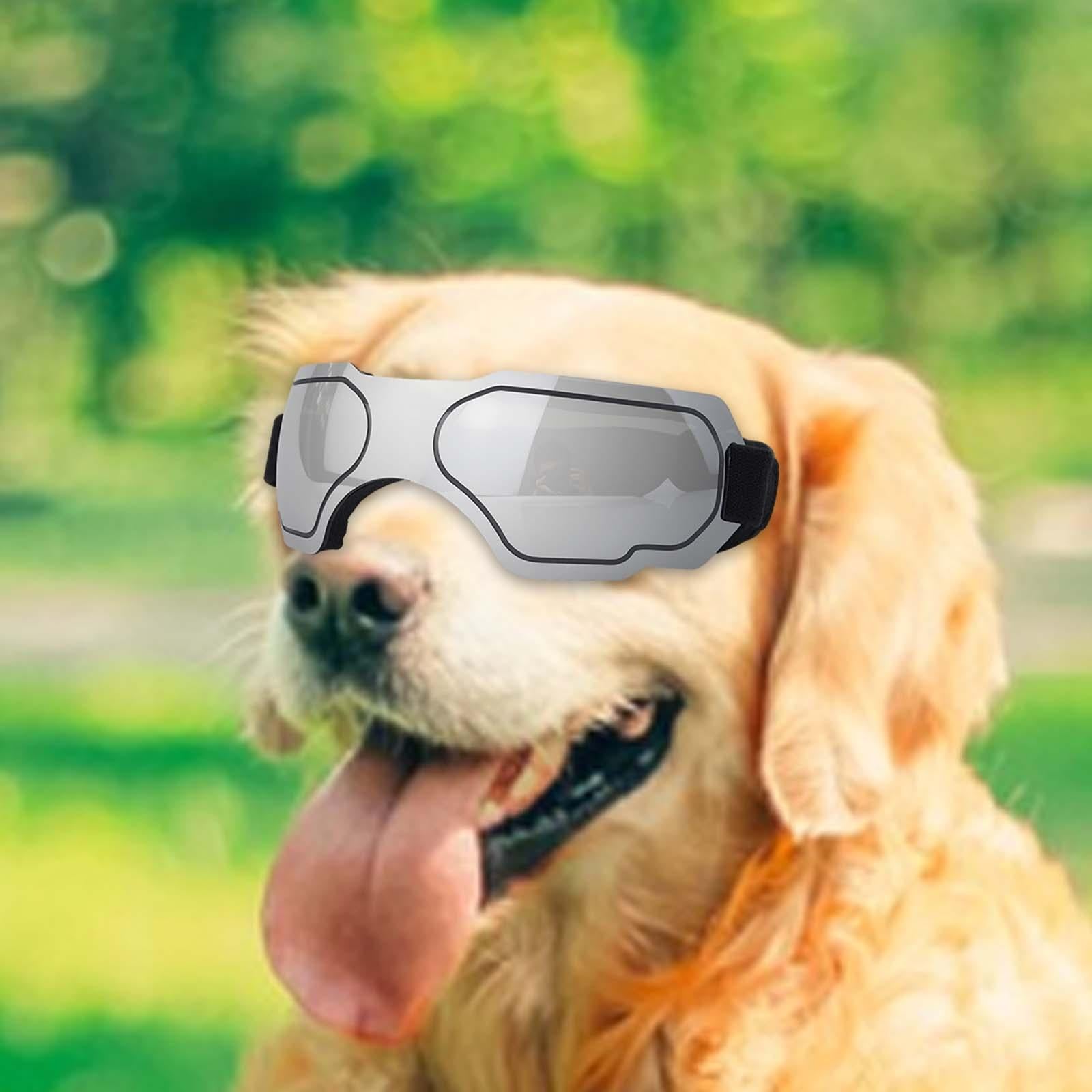 Dog Sunglasses Windproof AntiFog for Small to Medium Breed Dog Puppy Glasses silver