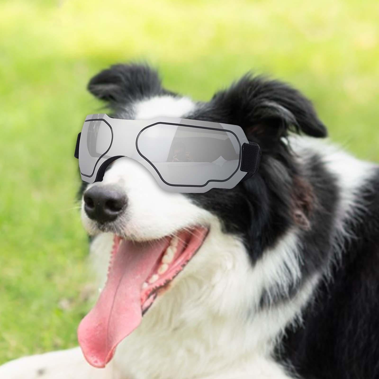 Dog Sunglasses Windproof AntiFog for Small to Medium Breed Dog Puppy Glasses silver