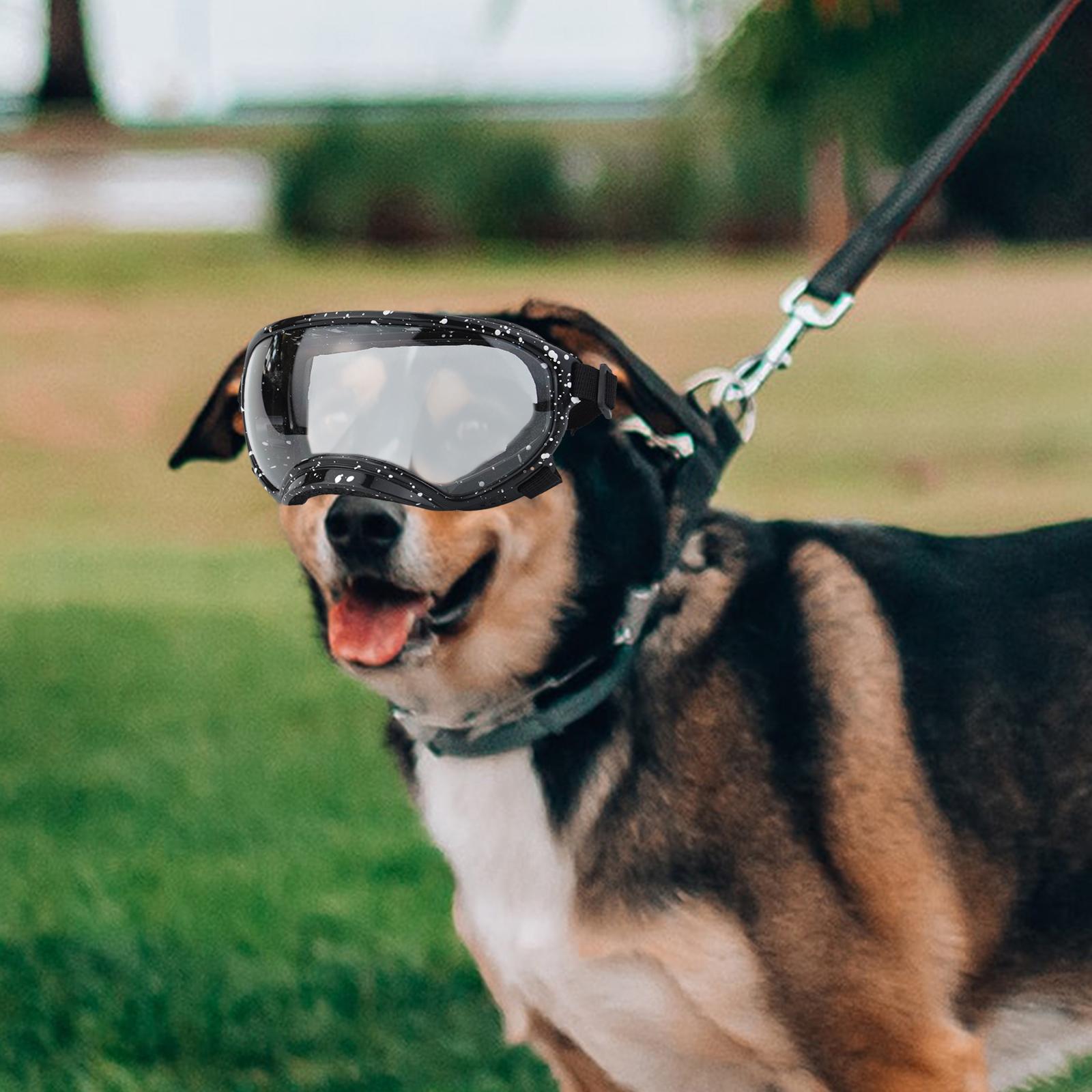 Dog Goggles Dog Sunglasses for Eye Protection Dust Protection Sun Protection Style E