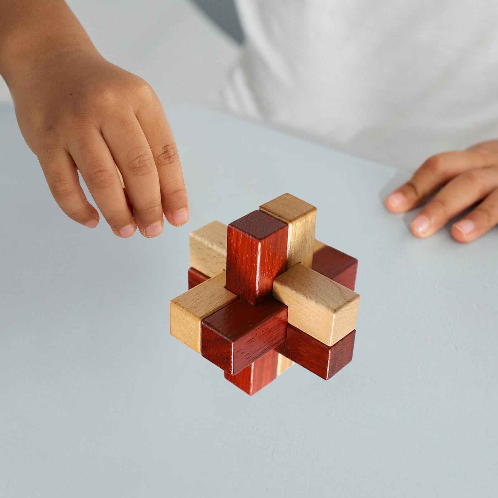 Wooden Brain Teaser Puzzle Toy for Family Game Birthday Gifts Christmas Gift Style B