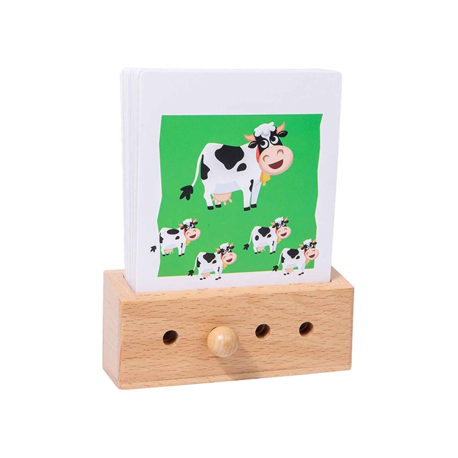 Flash Cards Match Toys Memory Training Preschool Activity for Kids Preschool