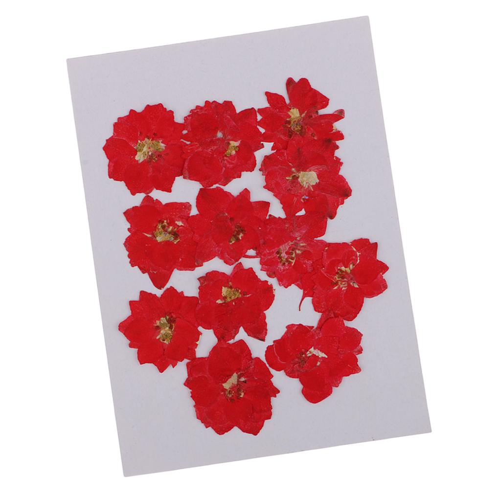 24Pcs Real Pressed Flowers Dried Larkspur DIY Crafts Decoration Red and Pink