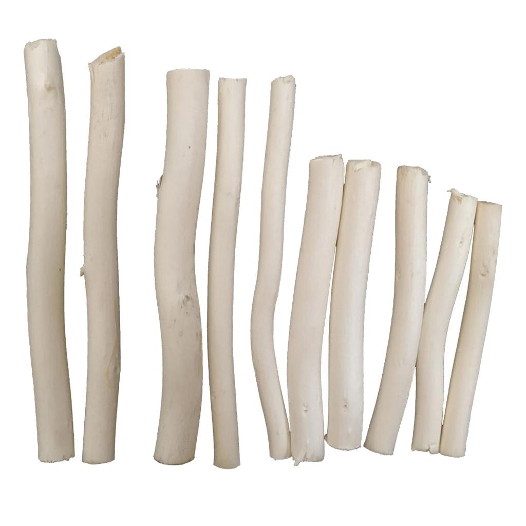 3x20 Pieces Wood Sticks Natural Tree Branch Wooden Sticks DIY Craft Photo Prop