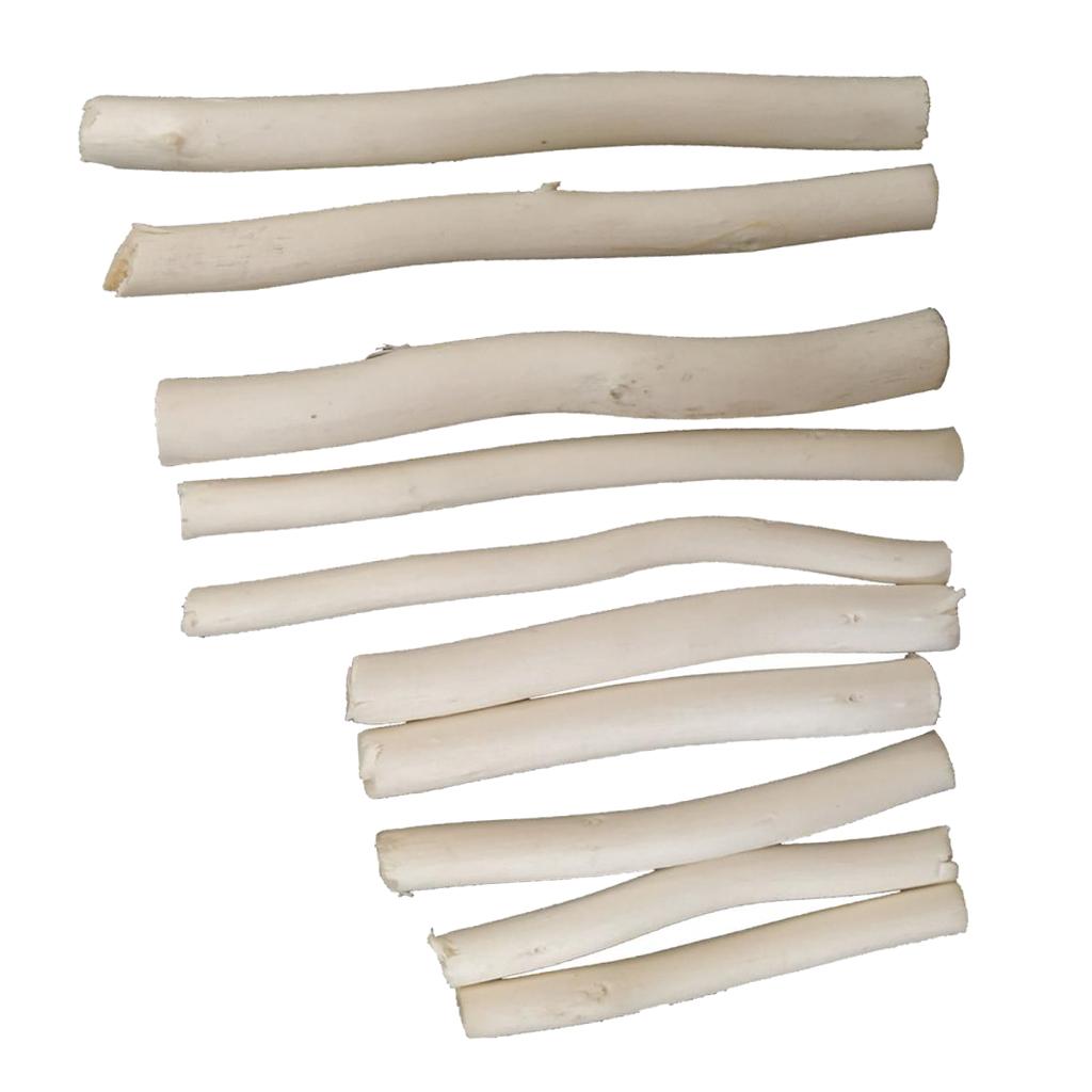 3x20 Pieces Wood Sticks Natural Tree Branch Wooden Sticks DIY Craft Photo Prop