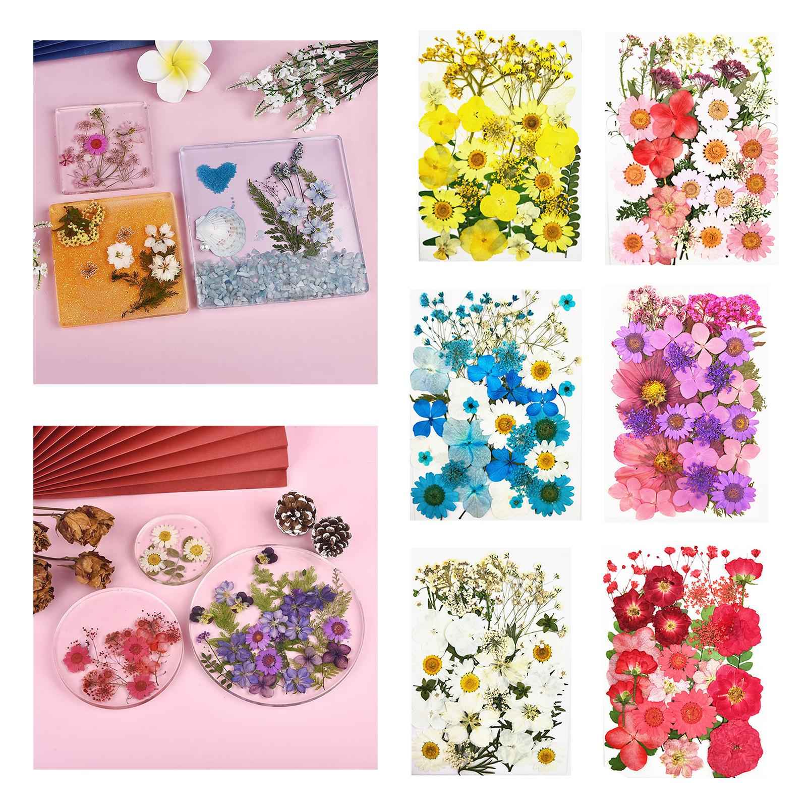 Real Dried Flowers Petals Art Craft Epoxy Resin Jewelery Soap Making White