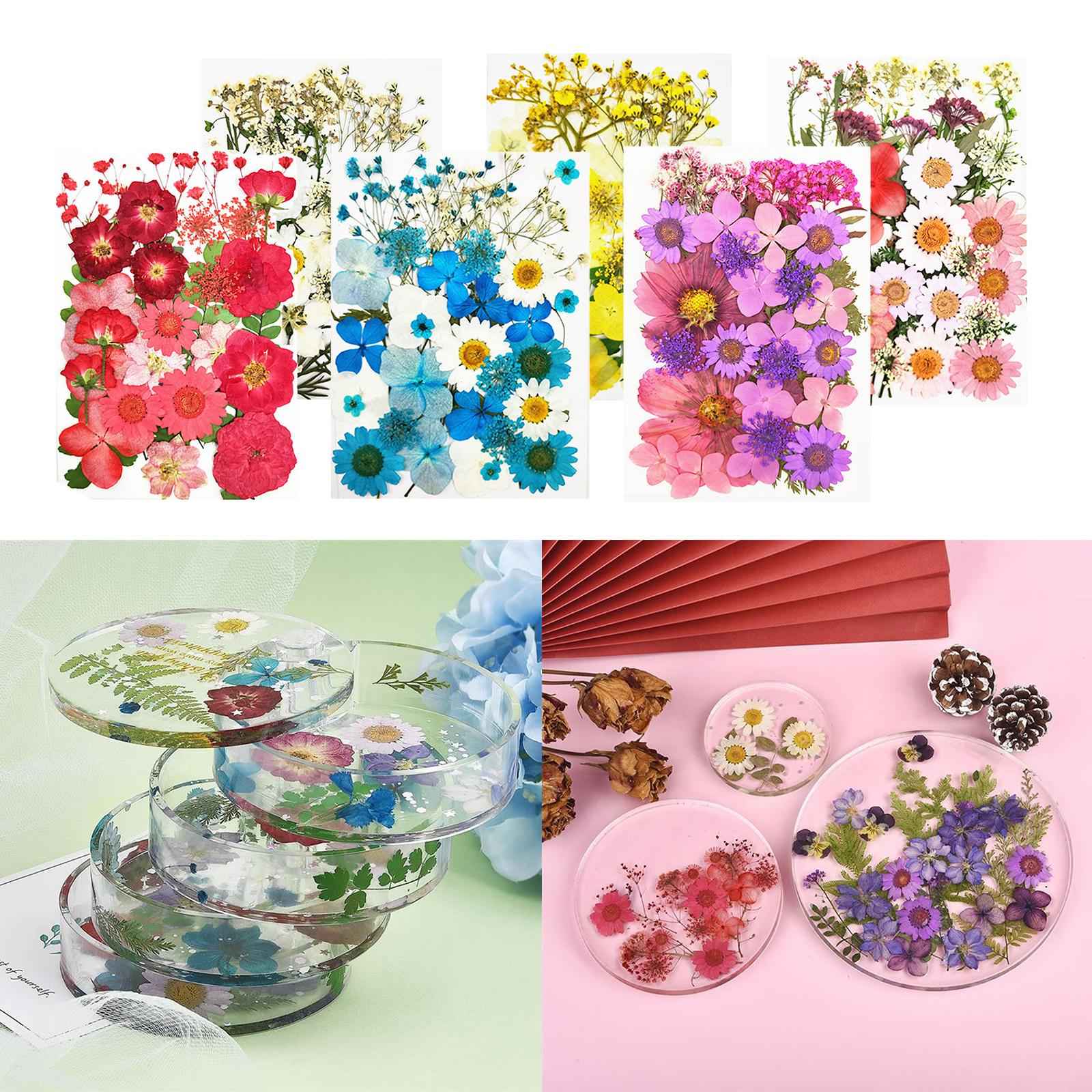 Real Dried Flowers Petals Art Craft Epoxy Resin Jewelery Soap Making White