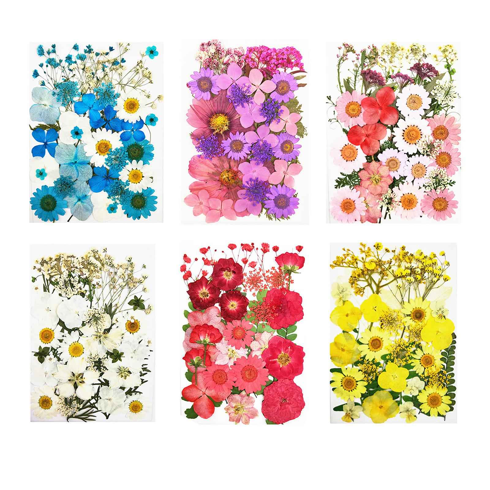 Real Dried Flowers Petals Art Craft Epoxy Resin Jewelery Soap Making White