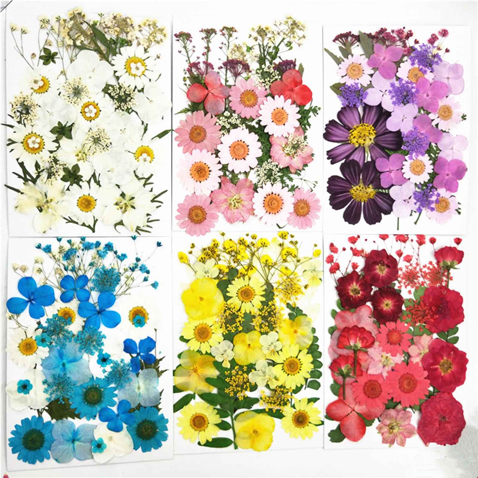 Real Dried Flowers Petals Art Craft Epoxy Resin Jewelery Soap Making White