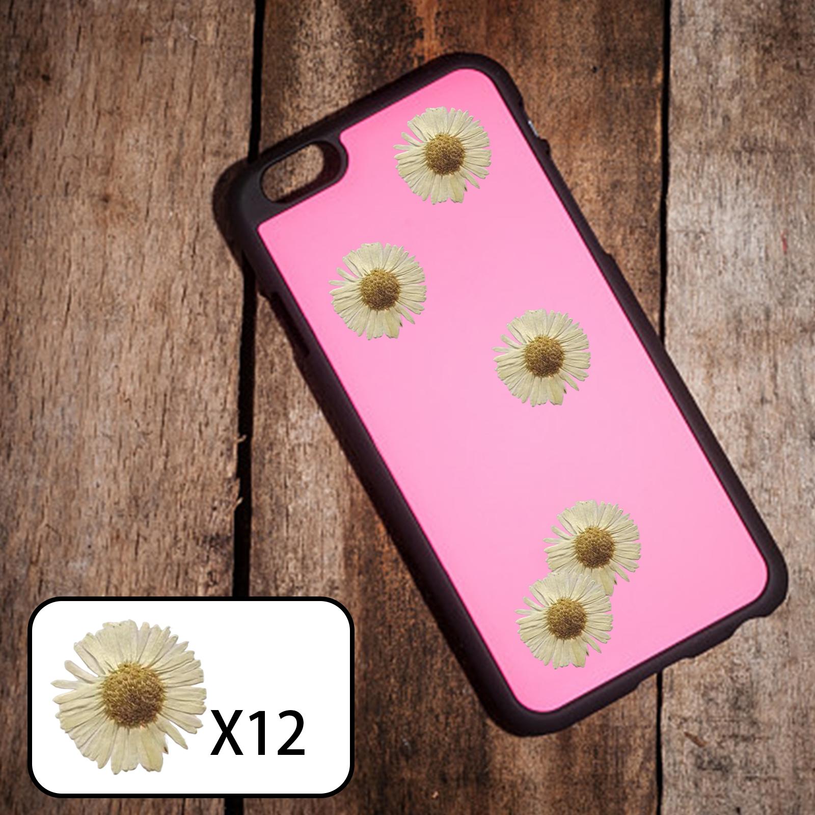2x12x Dried Pressed Flowers DIY Art Crafts for Bookmarks Envelopes Soap Making White