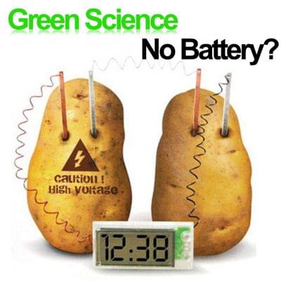DIY Novel Green Science Potato Digital Clock Educational Kit with 2 inch LCD Screen (Potato NOT Included)(White)