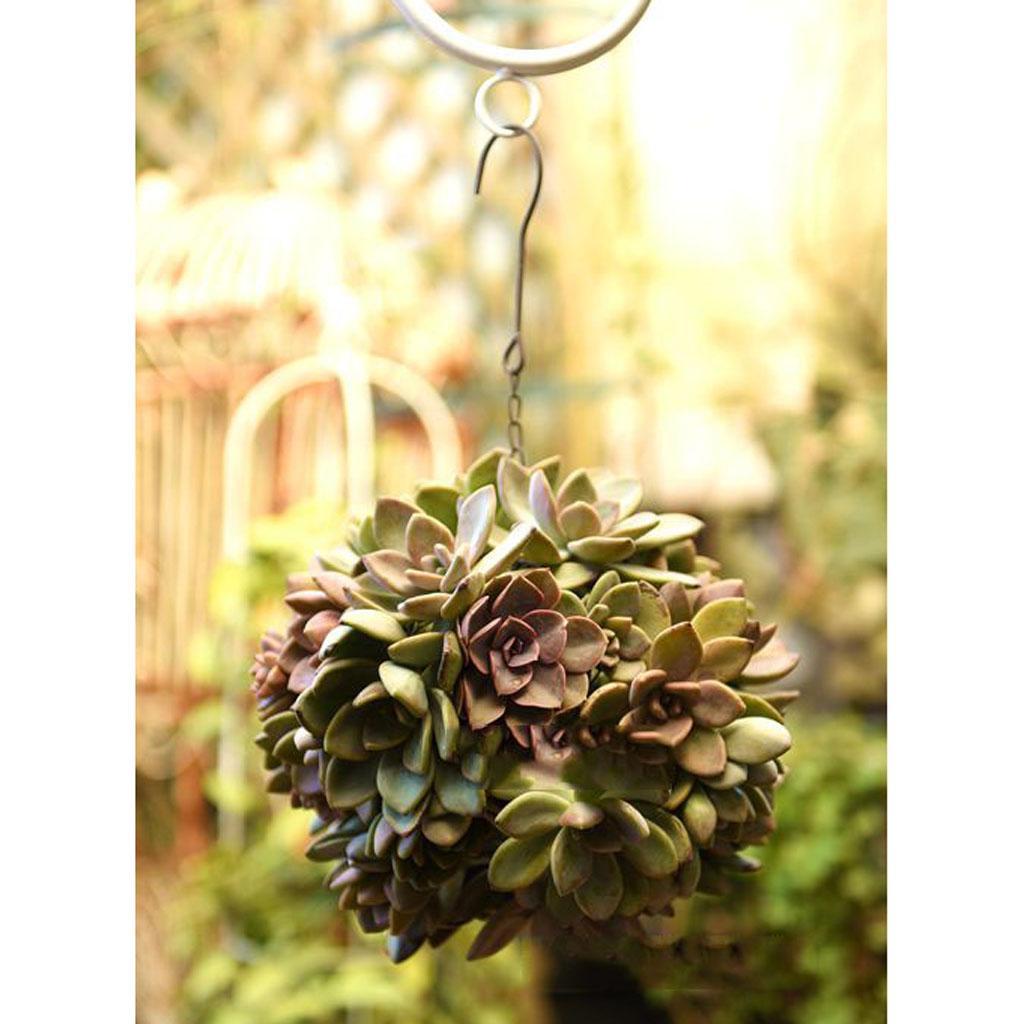 6pcs/set Retro Iron Succulent Pot Metal Hanging Planter Plant Holders Set