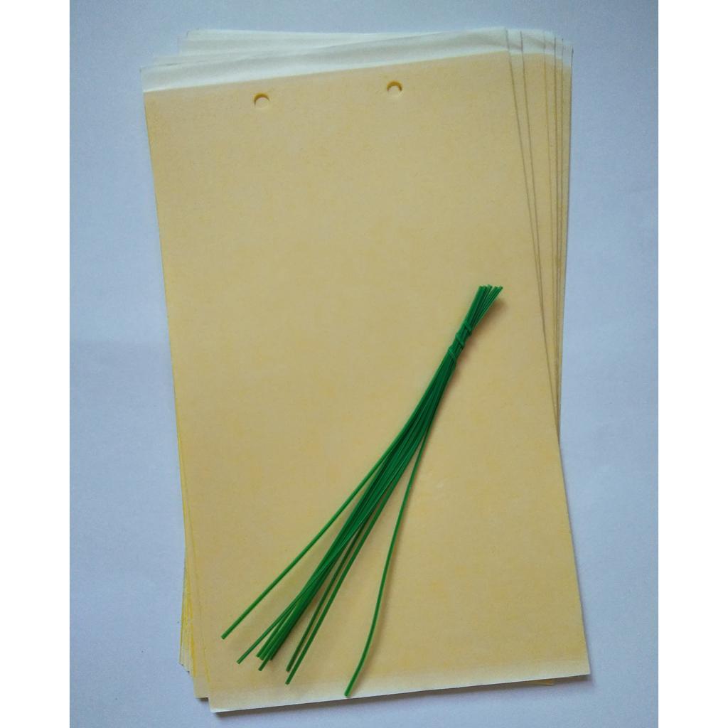 3x 10pcs Sticky Traps for Flying Bug Insect Useful Catchers Traps 1
