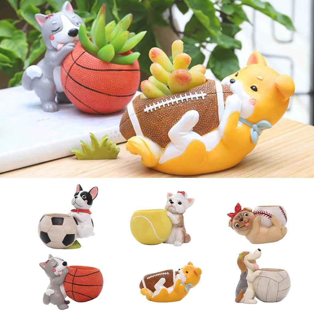Creative Sports Ball Shape Succulent Plant Pot for Home Decor Soccer