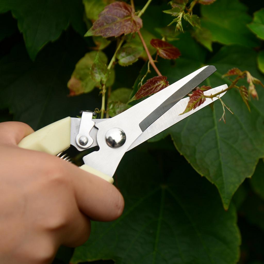 2xGarden Pruning Shears Pruners Secateurs Plant Cutter Scissor Hand Tools